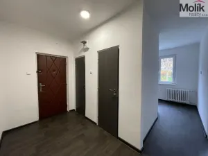 Pronájem bytu 2+1, Litvínov - Horní Litvínov, Podkrušnohorská, 55 m2