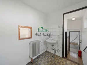 Prodej obchodního prostoru, Sovětice, 90 m2