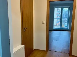 Pronájem bytu 1+kk, České Budějovice, Dobrovodská, 33 m2