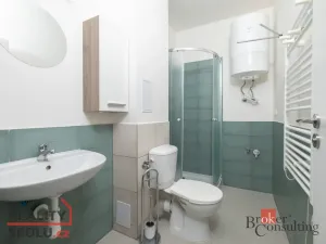 Prodej bytu 1+kk, Ostrava - Přívoz, Palackého, 27 m2