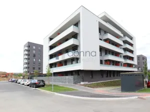 Pronájem bytu 2+kk, Praha, Novotného, 45 m2