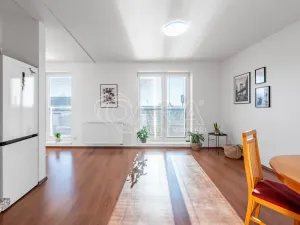 Prodej bytu 1+kk, Kařez, 45 m2