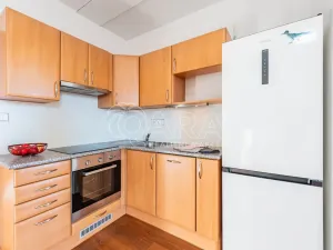 Prodej bytu 1+kk, Kařez, 45 m2