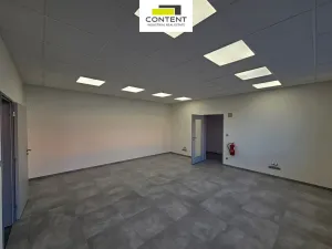 Pronájem výrobních prostor, Řepov, 816 m2