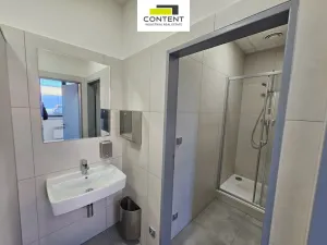 Pronájem výrobních prostor, Řepov, 874 m2