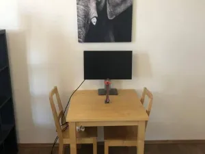 Pronájem bytu 1+kk, Praha - Žižkov, Hartigova, 22 m2