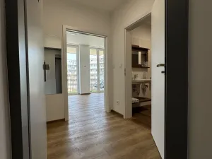 Pronájem bytu 1+kk, Olomouc, Camilla Sitteho, 27 m2