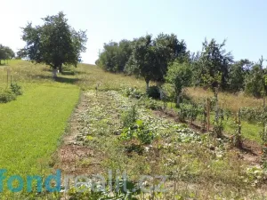 Prodej pozemku, Podolí, 10906 m2