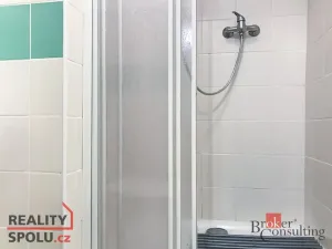 Prodej bytu 4+1, Brno - Zábrdovice, Cejl, 53 m2