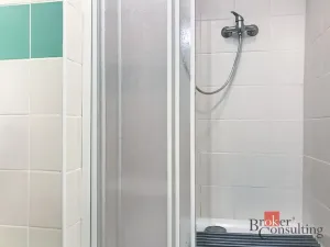 Prodej bytu 4+1, Brno - Zábrdovice, Cejl, 53 m2