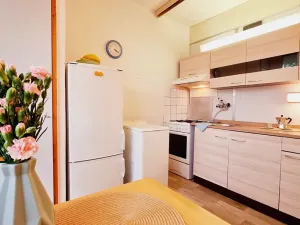 Pronájem bytu 1+1, Brno, Urbánkova, 34 m2