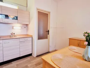 Pronájem bytu 1+1, Brno, Urbánkova, 34 m2