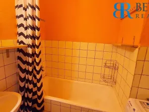 Prodej bytu 1+1, Říkovice, 50 m2