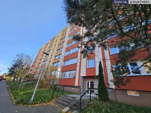 Pronájem bytu 1+kk, Frýdek-Místek, K Hájku, 26 m2