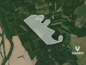 Prodej podílu lesa, Uhřičice, 2304 m2