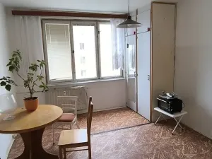 Prodej bytu 1+1, Cheb, Lesní, 36 m2