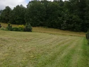 Prodej pozemku, Liberec, Borůvková, 1045 m2