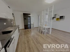 Pronájem bytu 2+kk, Plzeň - Bolevec, U Velkého rybníka, 44 m2