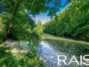 Prodej rodinného domu, Víchová nad Jizerou, 145 m2