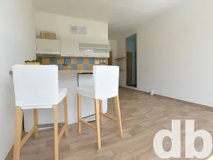 Pronájem bytu 1+kk, Chodov, Čapkova, 26 m2