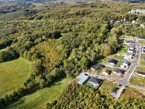 Prodej pozemku, Dubí, 25736 m2