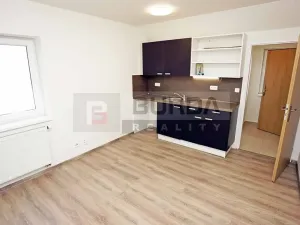 Pronájem bytu 1+kk, Neratovice, 25 m2