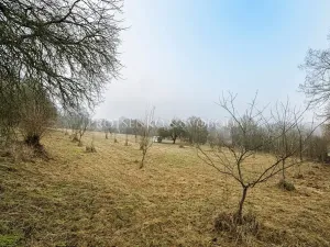 Prodej komerčního pozemku, Letovice, Nádražní, 3080 m2