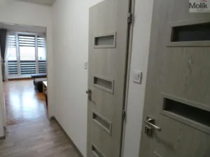 Pronájem bytu 2+1, Most, Petra Jilemnického, 56 m2