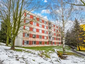 Prodej ubytování, Jílové, Na rovině, 301 m2