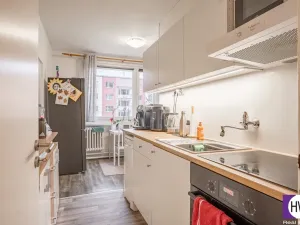 Prodej ubytování, Jílové, Na rovině, 236 m2