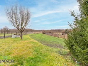 Prodej rodinného domu, Moravský Písek, Ostrožská, 164 m2