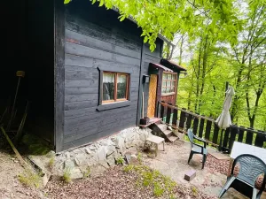 Prodej chaty, Kaliště, 30 m2