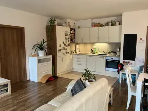 Pronájem bytu 2+kk, Liberec, Horská, 55 m2