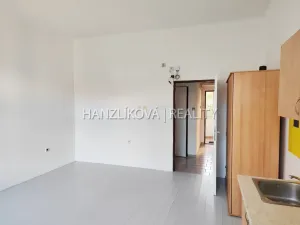 Pronájem bytu 1+kk, České Budějovice - České Budějovice 3, Jírovcova, 35 m2