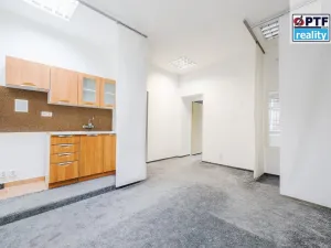 Pronájem obchodního prostoru, Plzeň, Na Roudné, 43 m2