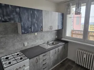 Pronájem bytu 1+1, Most, Višňová, 34 m2