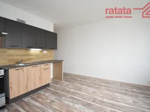 Pronájem bytu 1+1, Chomutov, Dřínovská, 35 m2