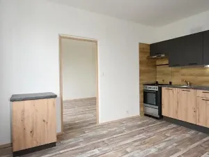 Pronájem bytu 1+1, Chomutov, Dřínovská, 35 m2