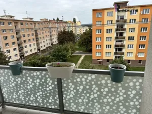 Pronájem bytu 3+1, Podbořany, Sídliště Míru, 68 m2