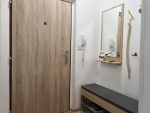 Pronájem bytu 3+1, Ostrava - Mariánské Hory, Pražákova, 57 m2