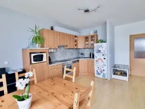 Pronájem bytu 4+kk, Brno - Bystrc, Říčanská, 95 m2