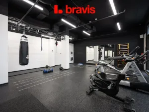 Pronájem bytu 1+kk, Brno - Trnitá, Dornych, 27 m2