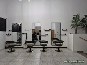 Pronájem komerční nemovitosti, Praha - Vysočany, bratří Dohalských, 233 m2