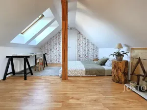 Prodej bytu 5+kk, Písek, Budějovická, 182 m2