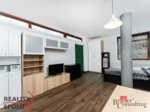 Prodej bytu 1+kk, Praha - Nusle, Pod Děkankou, 35 m2