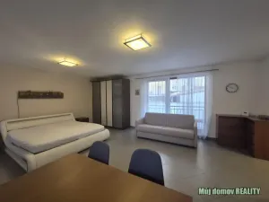 Pronájem bytu 1+kk, Praha - Vinohrady, Francouzská, 60 m2