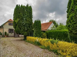 Prodej zemědělské usedlosti, Nová Sídla, 327 m2