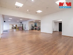 Prodej obchodního prostoru, Rudolfov, Třeboňská, 500 m2