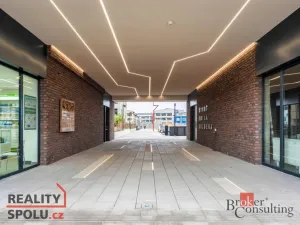 Prodej bytu 1+kk, Praha - Vysočany, Fafkových, 31 m2