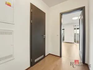 Prodej bytu 1+kk, Praha - Vysočany, Fafkových, 31 m2